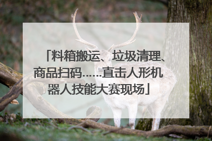 料箱搬运、垃圾清理、商品扫码……直击人形机器人技能大赛现场