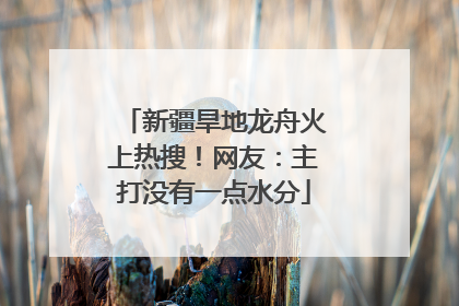 新疆旱地龙舟火上热搜！网友：主打没有一点水分