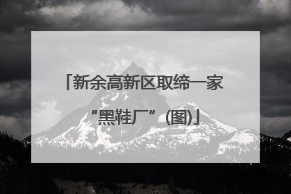 新余高新区取缔一家“黑鞋厂”(图)