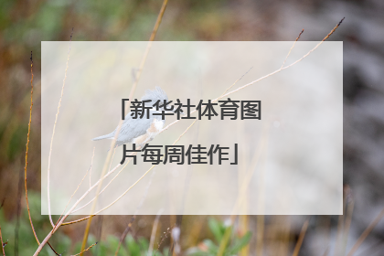 新华社体育图片每周佳作