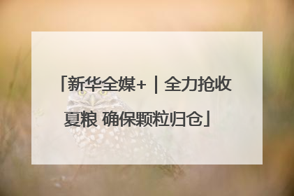 新华全媒+｜全力抢收夏粮 确保颗粒归仓