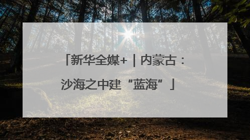 新华全媒+｜内蒙古：沙海之中建“蓝海”