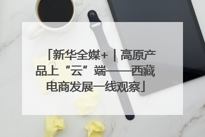 新华全媒+｜高原产品上“云”端——西藏电商发展一线观察