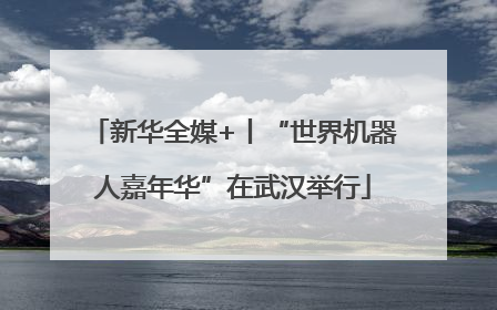新华全媒+丨“世界机器人嘉年华”在武汉举行