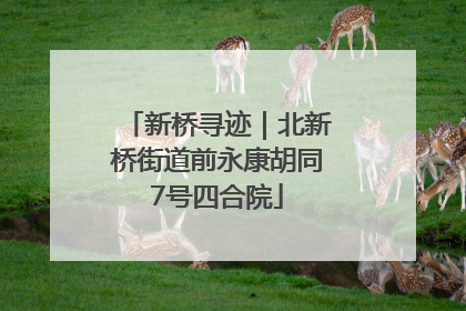 新桥寻迹｜北新桥街道前永康胡同7号四合院