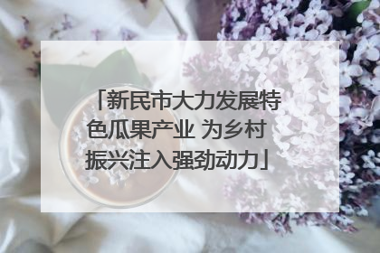 新民市大力发展特色瓜果产业 为乡村振兴注入强劲动力