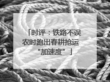 时评：铁路不误农时跑出春耕抢运“加速度”