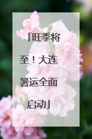 旺季将至！大连暑运全面启动