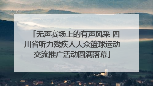 无声赛场上的有声风采 四川省听力残疾人大众篮球运动交流推广活动圆满落幕