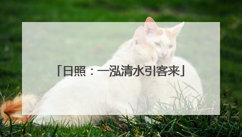 日照：一泓清水引客来