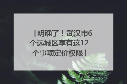 明确了！武汉市6个远城区享有这12个事项定价权限