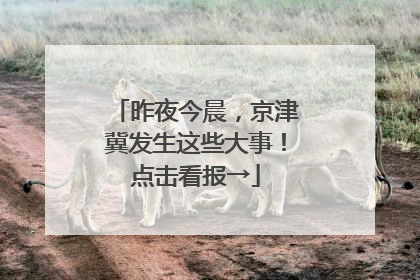 昨夜今晨，京津冀发生这些大事！点击看报→