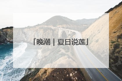 晚潮｜夏日说莲