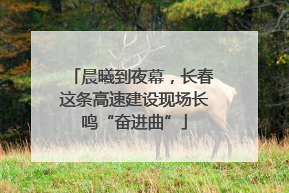 晨曦到夜幕，长春这条高速建设现场长鸣“奋进曲”