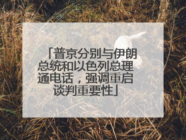 普京分别与伊朗总统和以色列总理通电话，强调重启谈判重要性