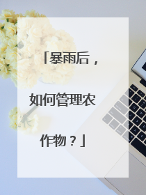 暴雨后，如何管理农作物？