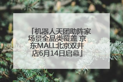 机器人天团助阵家场景全品类覆盖 京东MALL北京双井店6月14日启幕