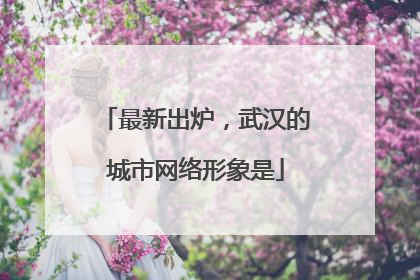 最新出炉，武汉的城市网络形象是