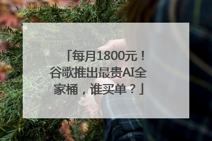 每月1800元！谷歌推出最贵AI全家桶，谁买单？