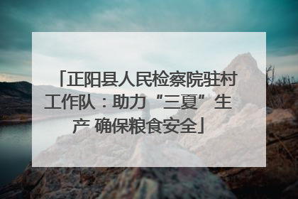 正阳县人民检察院驻村工作队：助力“三夏”生产 确保粮食安全