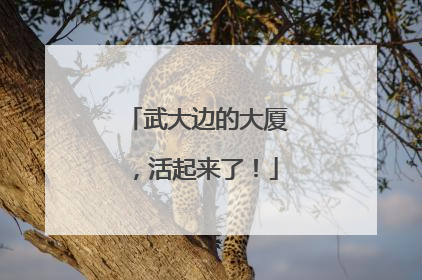 武大边的大厦，活起来了！