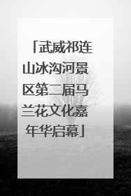 武威祁连山冰沟河景区第二届马兰花文化嘉年华启幕