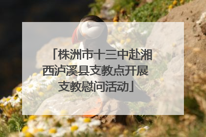 株洲市十三中赴湘西泸溪县支教点开展支教慰问活动