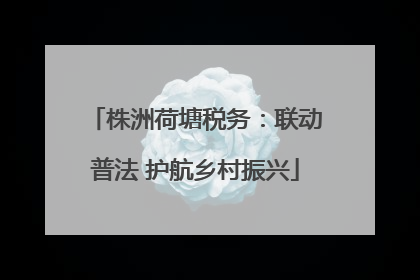 株洲荷塘税务：联动普法 护航乡村振兴