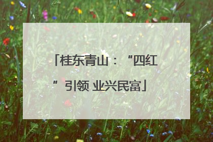 桂东青山：“四红”引领 业兴民富