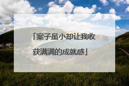 案子虽小却让我收获满满的成就感