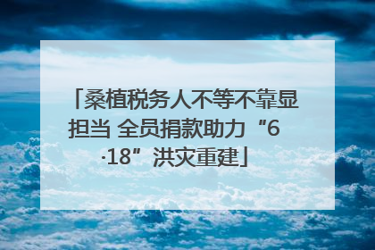 桑植税务人不等不靠显担当 全员捐款助力“6·18”洪灾重建