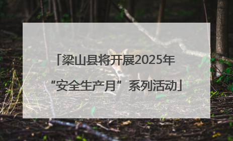 梁山县将开展2025年“安全生产月”系列活动