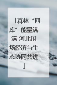 森林“四库”能量满满 河北围场经济与生态协同共进