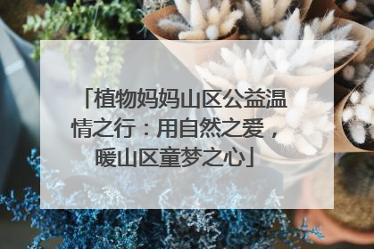 植物妈妈山区公益温情之行：用自然之爱，暖山区童梦之心