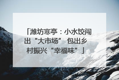 潍坊寒亭：小水饺闯出“大市场” 包出乡村振兴“幸福味”