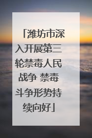 潍坊市深入开展第三轮禁毒人民战争 禁毒斗争形势持续向好