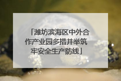 潍坊滨海区中外合作产业园多措并举筑牢安全生产防线