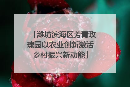 潍坊滨海区芳青玫瑰园以农业创新激活乡村振兴新动能