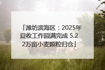 潍坊滨海区：2025年夏收工作圆满完成 5.22万亩小麦颗粒归仓