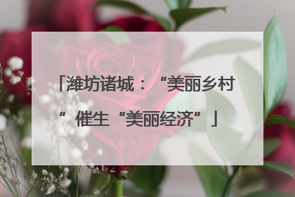 潍坊诸城：“美丽乡村”催生“美丽经济”