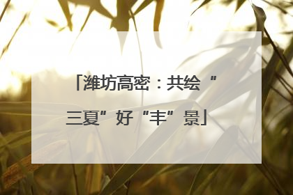 潍坊高密：共绘“三夏”好“丰”景