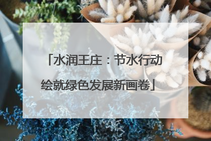 水润王庄：节水行动绘就绿色发展新画卷