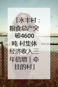 永丰村：粮食总产突破4600吨 村集体经济收入三年倍增｜牵挂的村