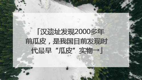 汉遗址发现2000多年前瓜皮，是我国目前发现时代最早“瓜皮”实物→
