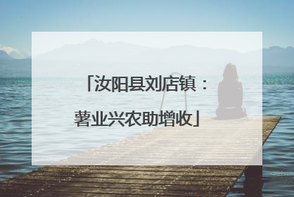 汝阳县刘店镇：薯业兴农助增收