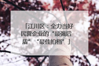 江川区：全力当好民营企业的“最强后盾”“最佳拍档”