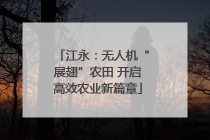江永：无人机“展翅”农田 开启高效农业新篇章