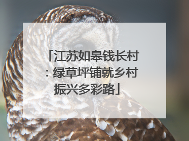 江苏如皋钱长村：绿草坪铺就乡村振兴多彩路