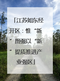 江苏如东经开区：惟“新”图强以“新”提质推进产业强区