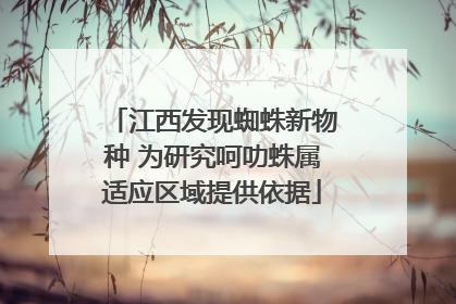 江西发现蜘蛛新物种 为研究呵叻蛛属适应区域提供依据